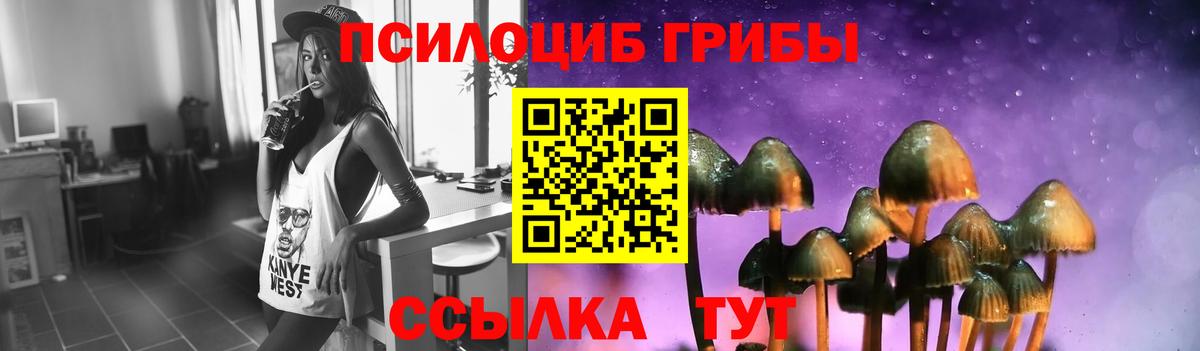 Псилоцибиновые грибы прущие грибы Сызрань