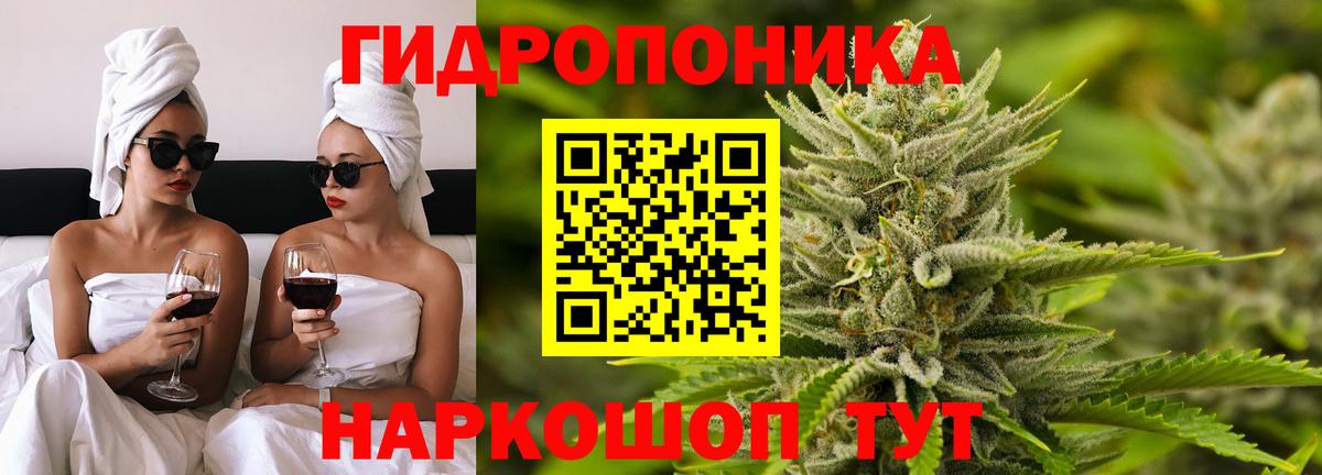 Бошки Шишки гибрид  Бошки Шишки семена  Сызрань  Вход с VPN  Марихуана Bruce Banner 